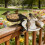 Individualized Outside Bird Feeding Support For Railings No 9