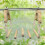 Easy To Clean Bird Resting Swing produced From Thick Acrylic For 8