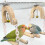 Easy To Clean Bird Resting Swing produced From Thick Acrylic For 11