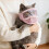 Catss Bubble Muzzles Transparents Permeable Face Cover-Pink M 10