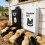 2 Pack Bird Meal canisters constructed From Durable Metal 7