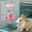 Leakproof Cage Mounted Water Dispenser For Pet Automatic-Pink 11