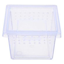 Terrario Insektboks Mini - terrarium til insekter 6,5 x 6,5 x 4,5 cm