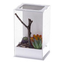 Repti-Zoo Mantis Box M - akrylterrarium til knælere