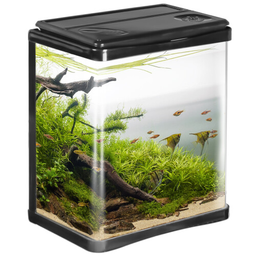 Kruger Meier Arona Akvarium 3l - akvariesæt sort