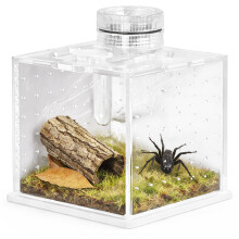 Terrario SpiderNook M - mini akrylterrarium med belysning