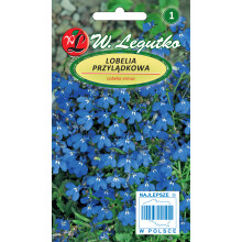 Kap Lobelia Frø, Blå Lobelia