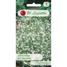 Gypsophila eleganta frø, hvide, 1 g
