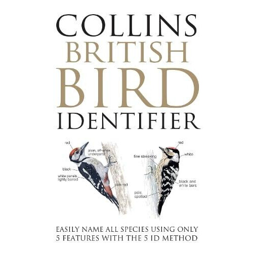 BRITISH BIRD IDENTIFIER HB by Paul Stancliffe Hardcover Book