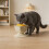 Interaction Leckfutterspender für Hunde und Katzen,-Blau 5
