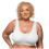 DAMEN SPORT-TOP-BH 4XL 1