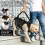 Dog Assistance Outfit Containing Multiple holds For Walking-L 5