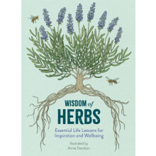 Wisdom of Herbs by Alison Davies Hardcover Book
