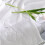Basic new Cover For Animals Aids Heat Regulation Throughout-M 5