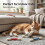 Jouet pour Chat Coton-Tige Géant Jouet Interactif Grand Format avec Herbe à Chat A 2