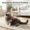 Jouet pour Chat Coton-Tige Géant Jouet Interactif Grand Format avec Herbe à Chat C 3