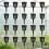 Reusable PP Hydroponic Net Pot With Lid Ideal For Water-100 10