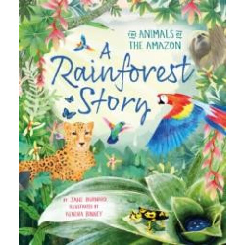 Rainforest Story by Jane Burnard Paperback Book
