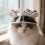 Sun Blocking Hat For Pet Dog Soft Fabric Prevents-Pink L 10