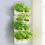 Innovative Wall Mounted Flower Pots Quickly Installation-White 10