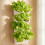 Innovative Wall Mounted Flower Pots Quickly Installation-White 11
