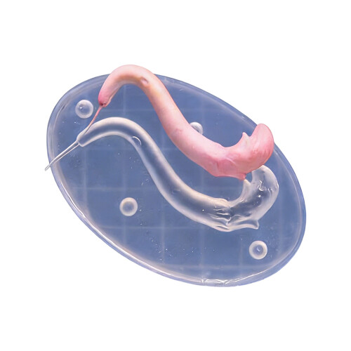 Detailed Silicone Rubber Mold Ideal For Creating Doll-L E1 Type