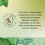Twinings Twinings Green Tea & Mint 20 Tea Bags 4