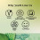 Twinings Twinings Green Tea & Mint 20 Tea Bags 5