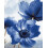 Blue Flowers Nordic Poster Set 3 pcs Light Blue Boho 7