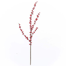 Planda Bréige Craobh Caora Dearg Ilex 1 phíosa