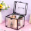 Kosmetik-Organizer-Box aus transparentem Acryl, 1 groß 8