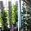 Hydroponic Vertical Tower Container DIY Hydroponic Planting Cup Flower Container Plant Growth Pot Cup 4