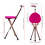Folding Chair with Walking Stick Cane with Seat 10