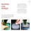 Floral Pin Frog Plastic Flower Arrangement Base2Pcs 6
