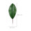Foglie di magnolia artificiali verdi decorative, 10 pezzi 2