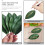 Foglie di magnolia artificiali verdi decorative, 10 pezzi 3