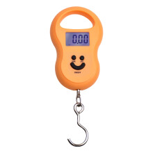 Scála Cistine Leictreonach Inaistrithe Fankiway 50kg