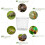 Mizh reptile feeding dish20ml20pcs 2