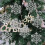 Ensemble de 6 pendentifs flocons de neige pour les décorations de Noël 3