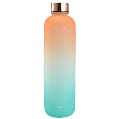 Bouteille d'eau givrée Hesroicy Gradient 1000ml 1