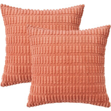 Housses de coussin en velours côtelé brodé, style bohème rayé, lot de 2