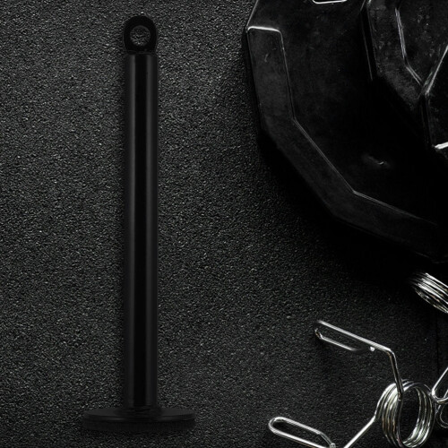 Weight Plate Storage Rack Steel Loading Pin 1 Set 2