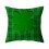 Housse de coussin en velours doux effet peau de pêche, impression numérique 1