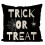 Σετ μαξιλαροθήκες για το Halloween, 4 τεμάχια, σχέδιο γάτας, 18x18 ιντσών 1