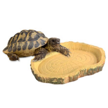 Donemore voer- en waterbak voor reptielen, geschikt voor schildpadden en slangen.