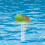 Fankiway flydende pooltermometer 1 ml 3