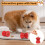 Grusce hundepuslespill gummigodbitdispenser 2-pakning 4