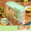 Runskmd Lemonade Dispenser 4L Refrigerated Beverage Machine 4