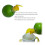 Spremiagrumi manuale Giyblacko per limoni, lime e arance 6