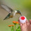 Handheld Hummingbird Feeder with Plastic Flower Mini Window 7